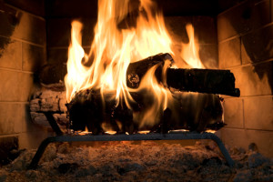 Masonry Contractor